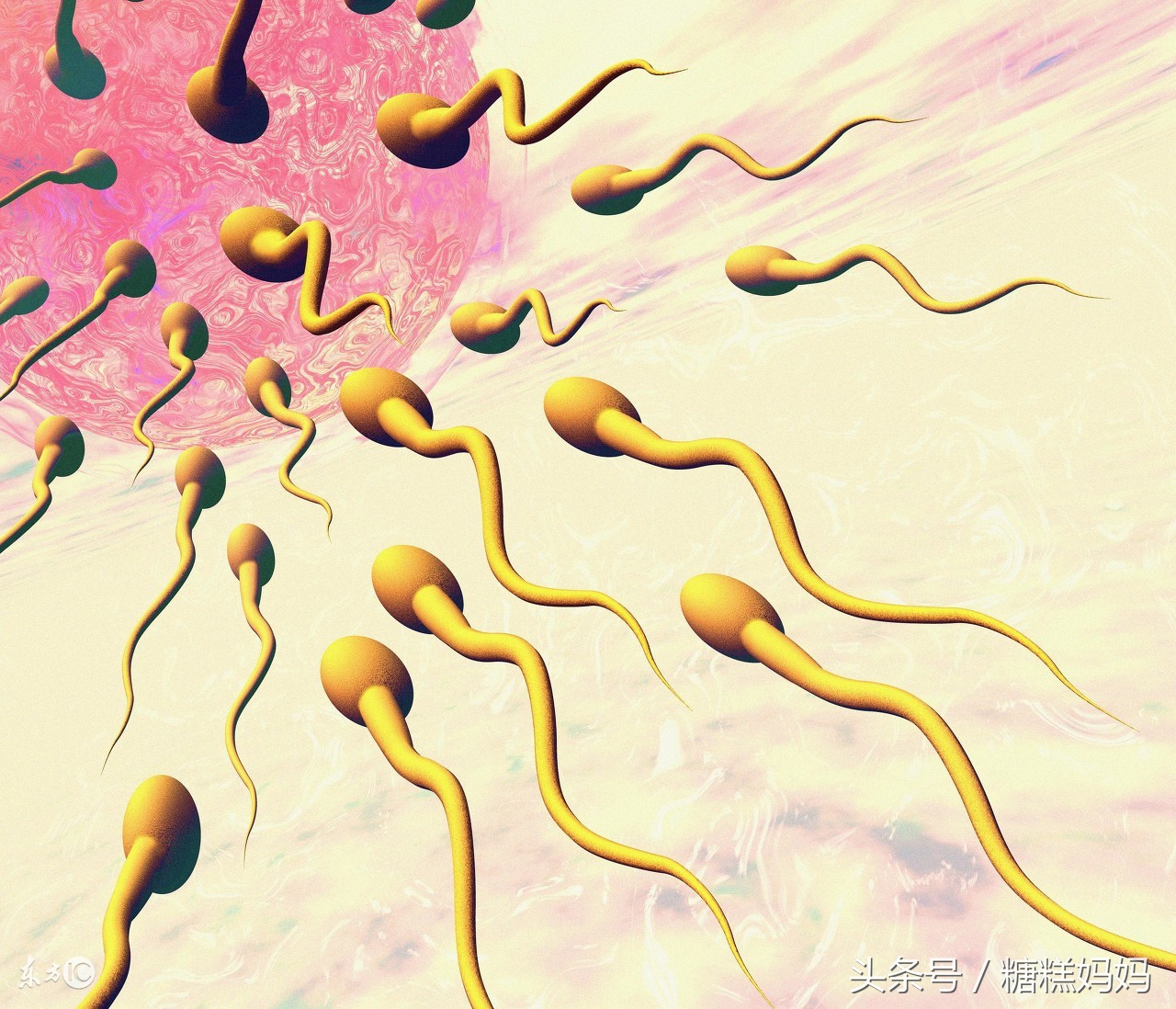 怀孕第一个月需要查哪些,怀孕第一个月要检查有什么