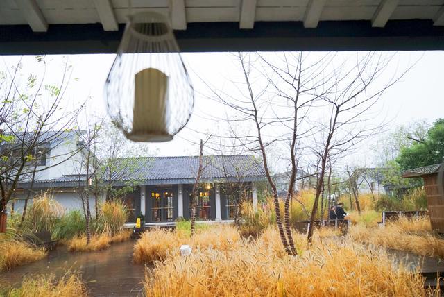 我和玛莎拉蒂的故事,我与玛莎拉蒂的故事