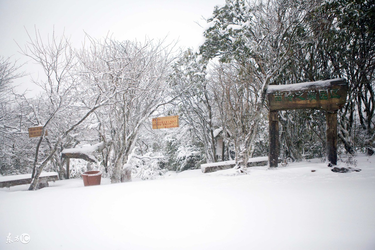北方下雪了在南方想家,北方很多城市下雪