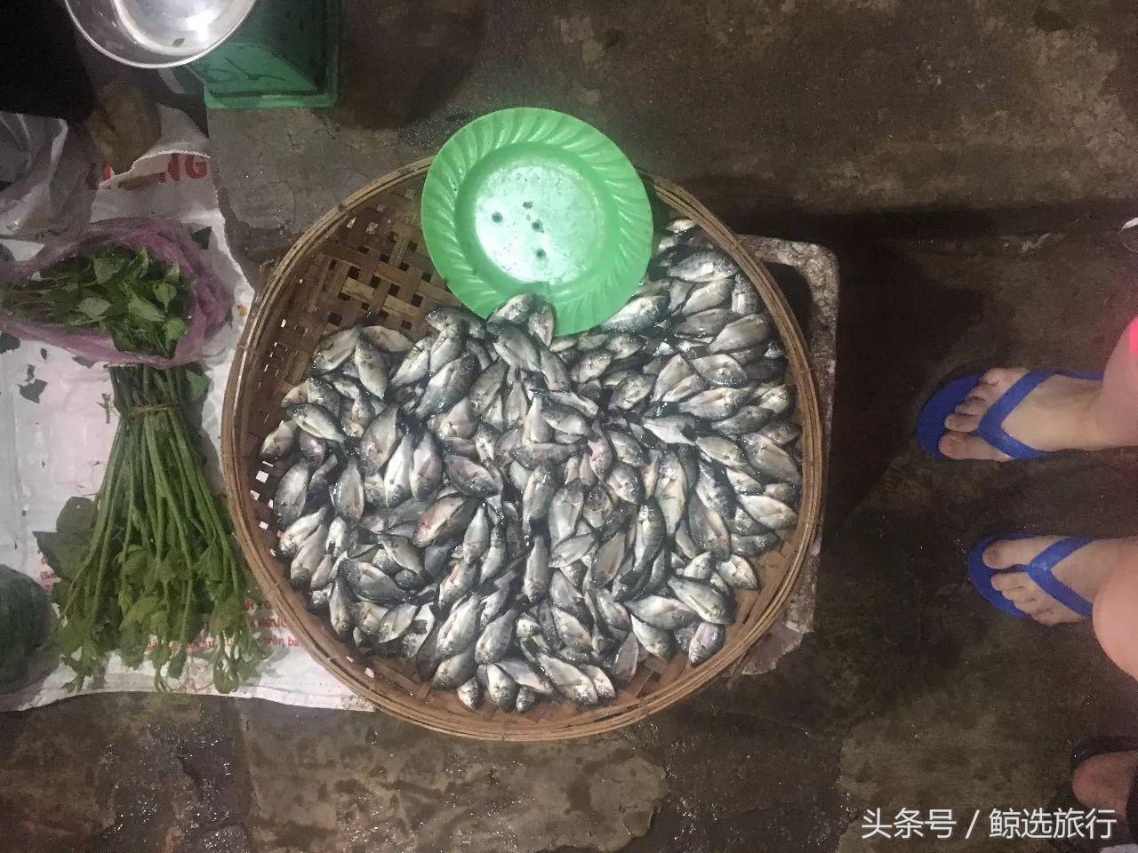 逛海鲜市场买螃蟹,逛市场买海鲜