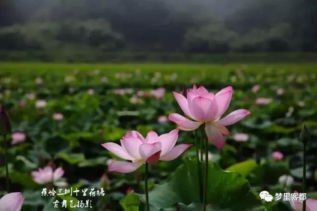 用星座分析前世的名字,用星座解析电影人物性格