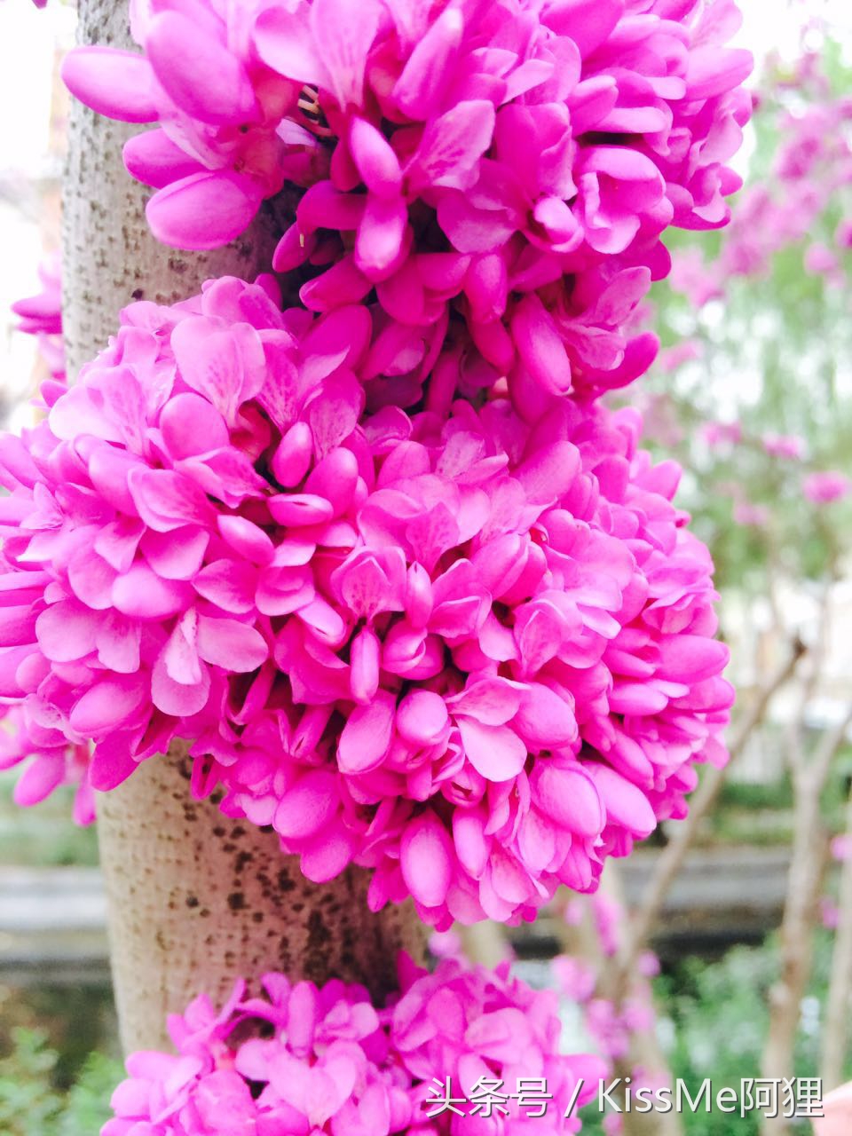 代理记账公司记账会计工作流程,会计记账基本流程实账操作