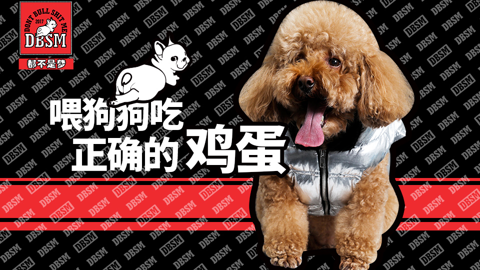 狗狗真的可以吃鸡蛋,狗狗喜欢吃铁是怎么回事