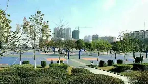 怀念莲塘一中,校园生活莲塘一中