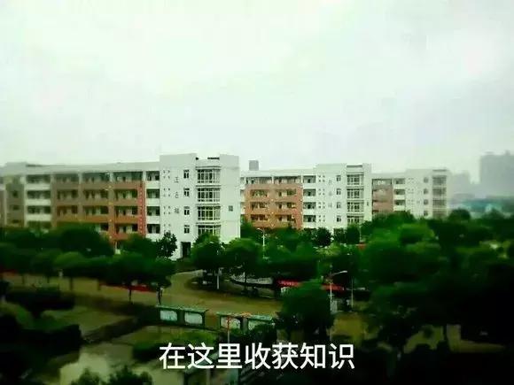 怀念莲塘一中,校园生活莲塘一中