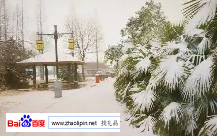 朋友圈晒雪,朋友圈晒雪景大赛