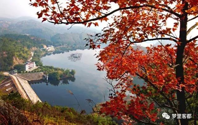 用星座分析前世的名字,用星座解析电影人物性格