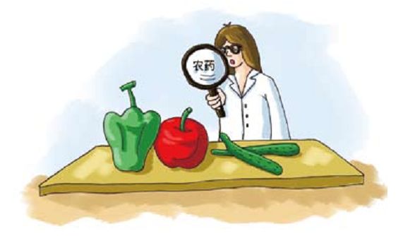 氧仙子清洗蔬菜的危害,氧仙子的功效与禁忌