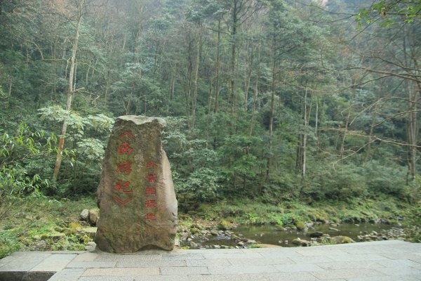 神奇美丽的张家界,张家界大自然仙境长视频
