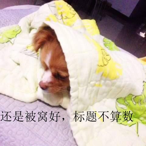 什么运动可以抵御寒冷,唯有运动才是增强免疫力的好方法