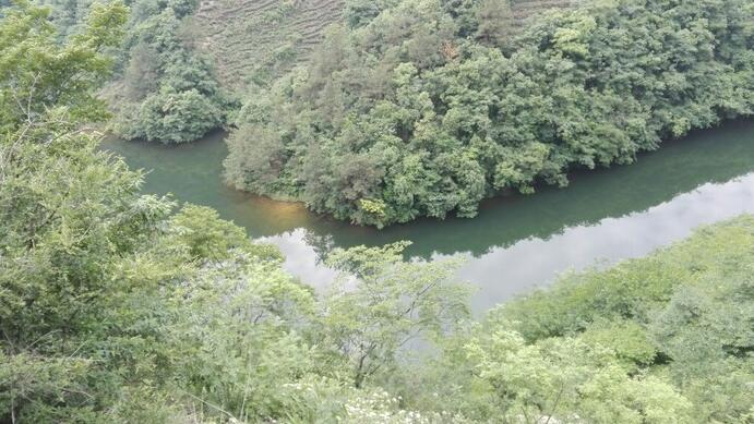 选择信阳最好毛尖茶怎么选,信阳高端毛尖茶冲泡带雾