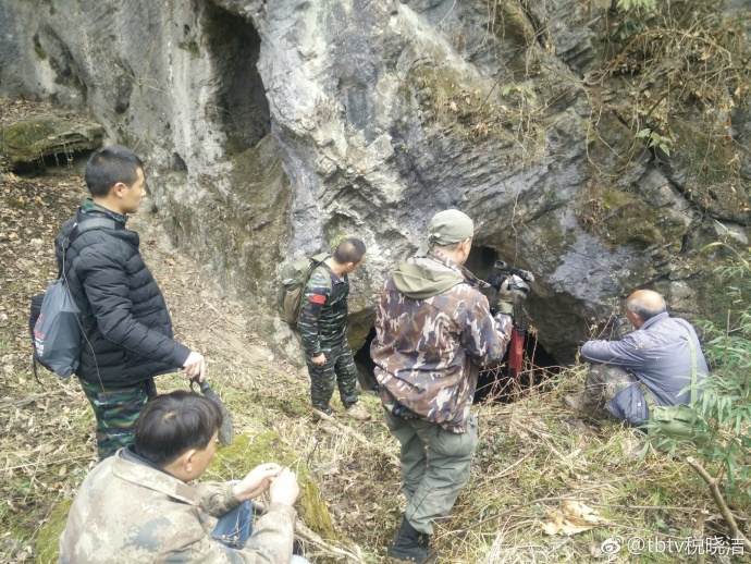 南漳老龙洞天坑视频,南漳县茅坪村老龙洞