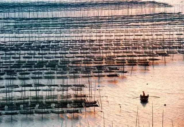 温州哪些地方看日出最美,哪里可以看到最美的日出日落