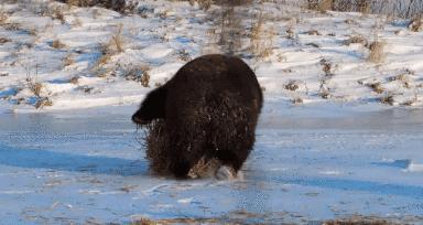 让所有女生疯狂的“费洛蒙”妆感,还拯救了近视四眼妹的化妆难题