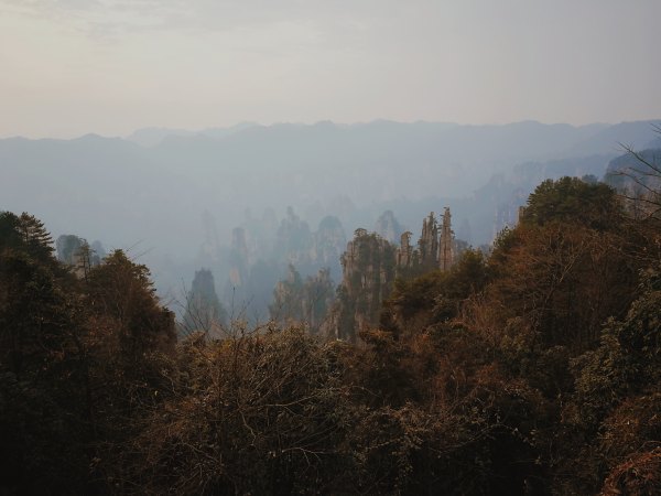 神奇美丽的张家界,张家界大自然仙境长视频