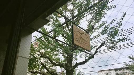 不做游客的游客,玩转日本攻略