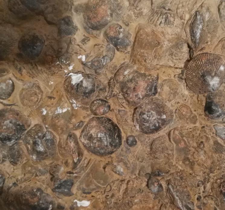 生命是什么最经典的回答,真正的生命是什么样的