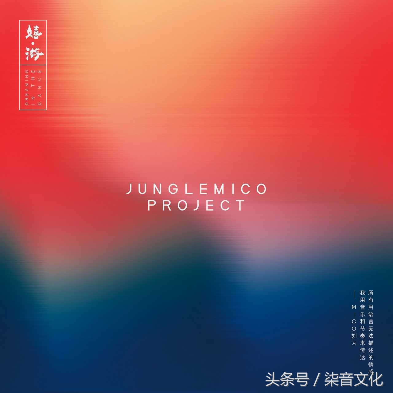 高宇峰贝斯怎么样,高宇峰贝斯电子摇滚