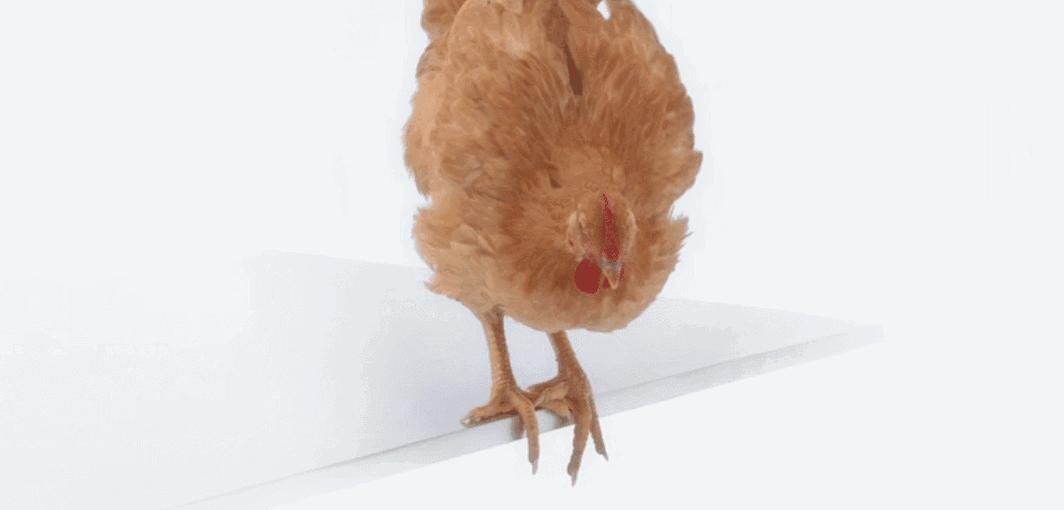 安踏最新广告图,分析安踏的广告