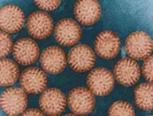 宝宝腹泻一停抗生素就严重,宝宝又拉又吐用吃抗生素吗