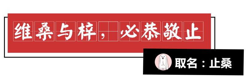 诗经中最唯美的名字,王姓女孩诗经中最唯美的名字