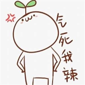 运12简介,运12最新改进型