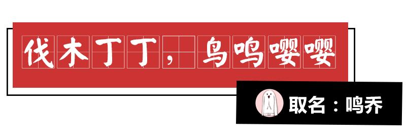 诗经中最唯美的名字,王姓女孩诗经中最唯美的名字