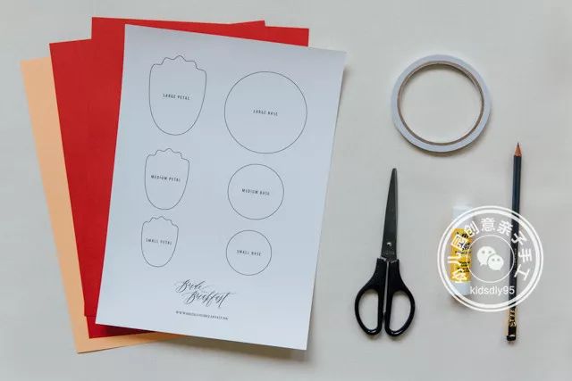 怎么用卡纸做牡丹花和郁金香,牡丹花手工制作卡纸小学