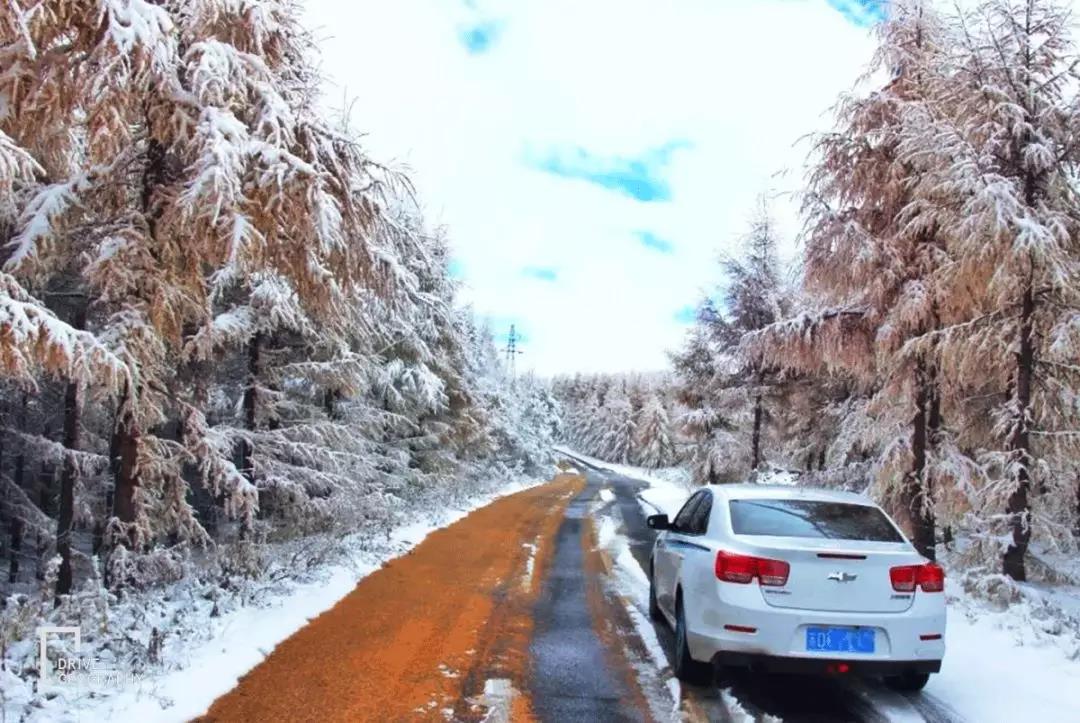 雪乡现在还坑人吗2017,东北雪乡雪上游玩