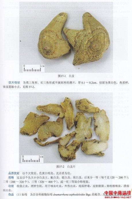 中药材造假猖獗，火眼金睛识别假中药