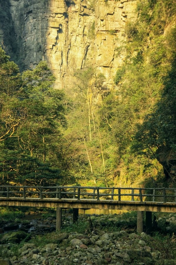 神奇美丽的张家界,张家界大自然仙境长视频