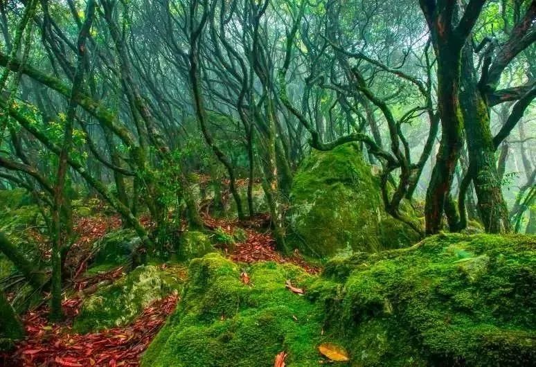 2018年浙江地方景点旅游日历大合集!含杭州,建德,温州,金华!