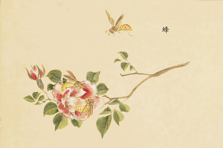 诗经中最唯美的名字,王姓女孩诗经中最唯美的名字