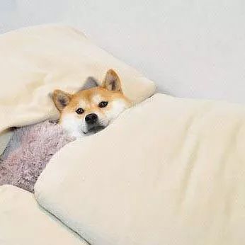 出门防晒必备小技巧,除了防晒还需要防什么