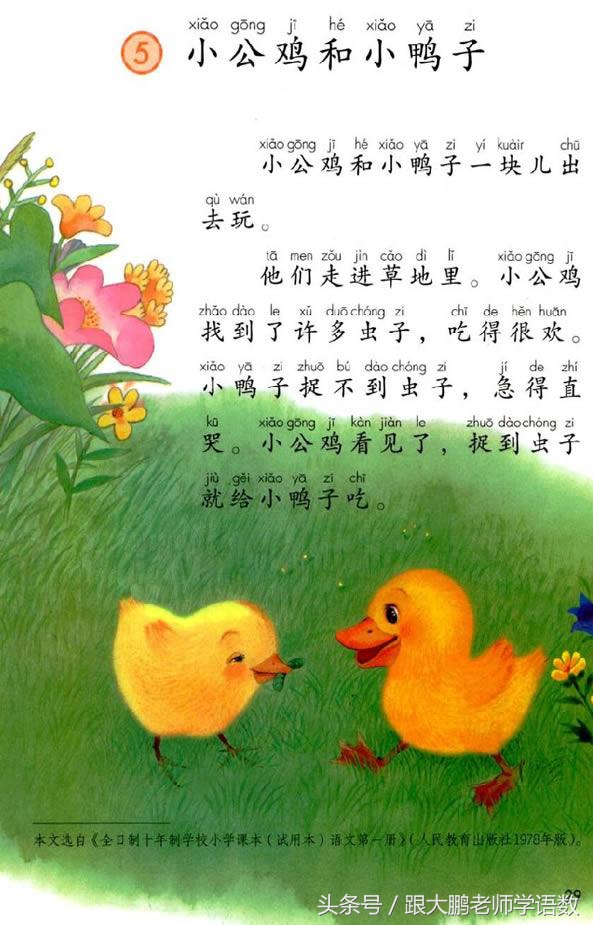 部编版一年级语文下册全册预习单,一年级语文小公鸡和小鸭子预习