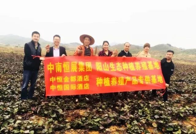 广东佛山原生态休闲酒店,佛山品质酒店