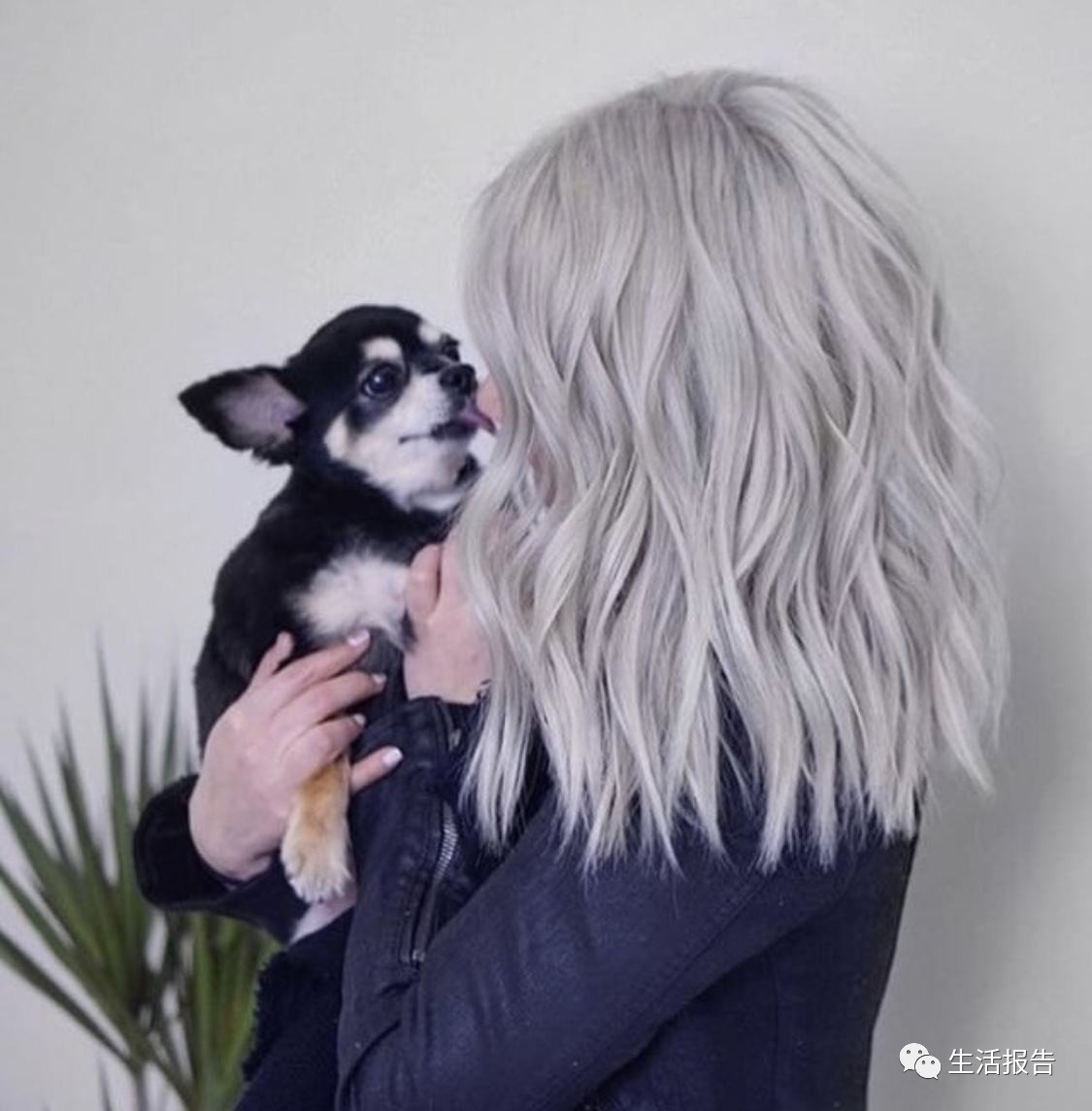 染发剂中哪些成分对身体有害,卡佛尼染发剂里有什么植物成分