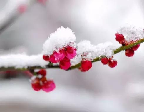 感慨历史变迁的古诗名句,表达岁月沧桑的古诗句大全