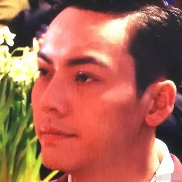 陈伟霆古天乐视频,陈伟霆古天乐同台