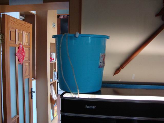 水草缸内怎样防治藻类生长,水草缸的藻类需要处理吗