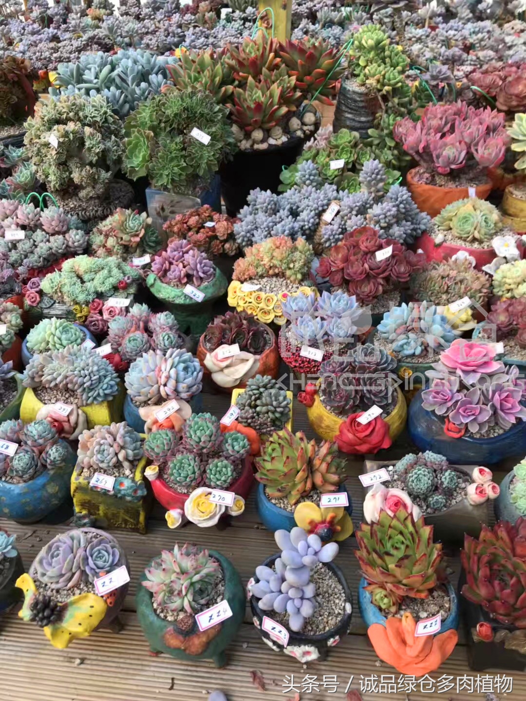 满足你对的所有幻想,满足你对生活所有的想象