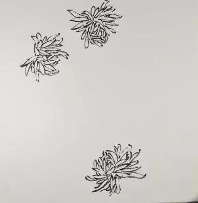 张世简菊花画法视频,菊花画法张正海