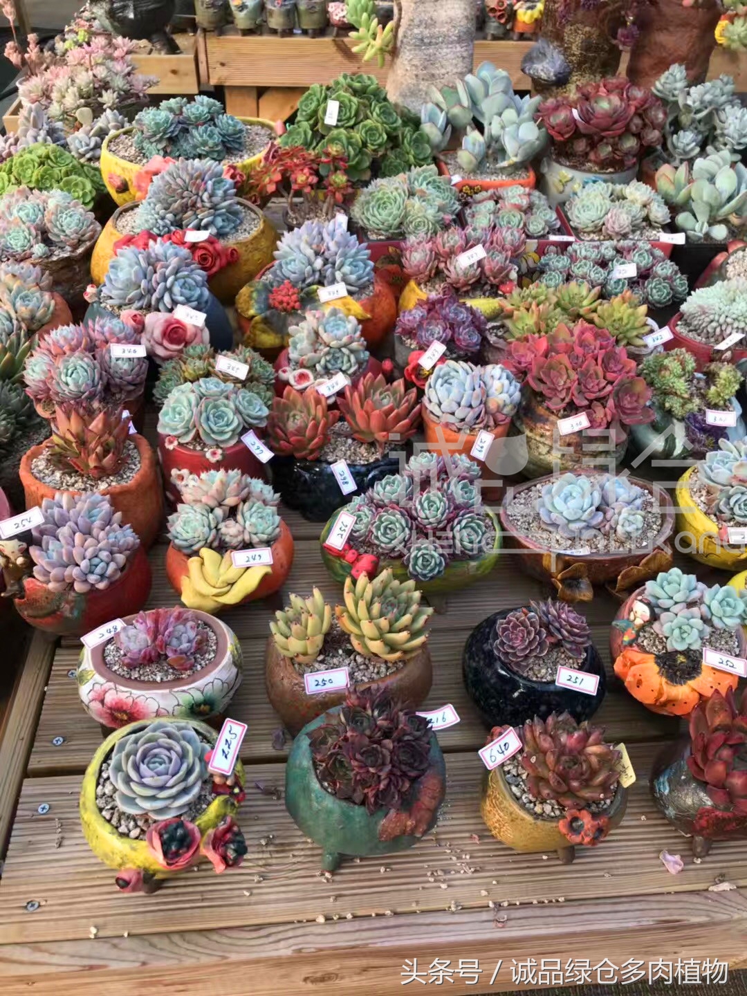 满足你对的所有幻想,满足你对生活所有的想象