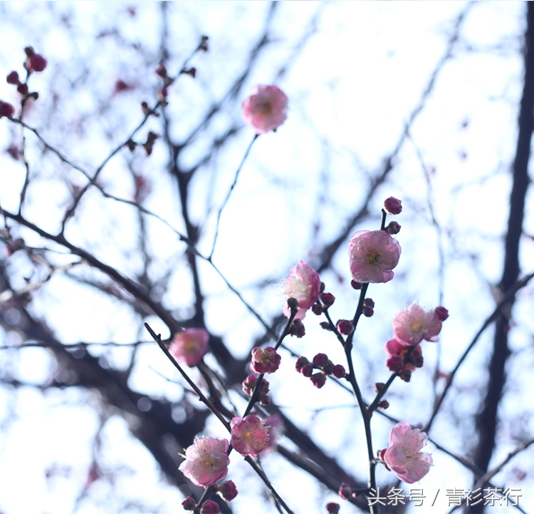 方便鞋带，泡之爽然然