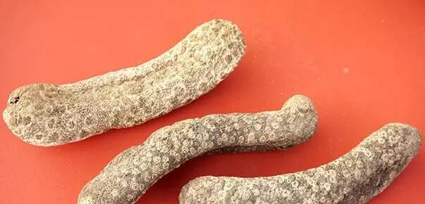 你知道世界上的鱼类有多少个,你知道的海底世界有多少种鱼