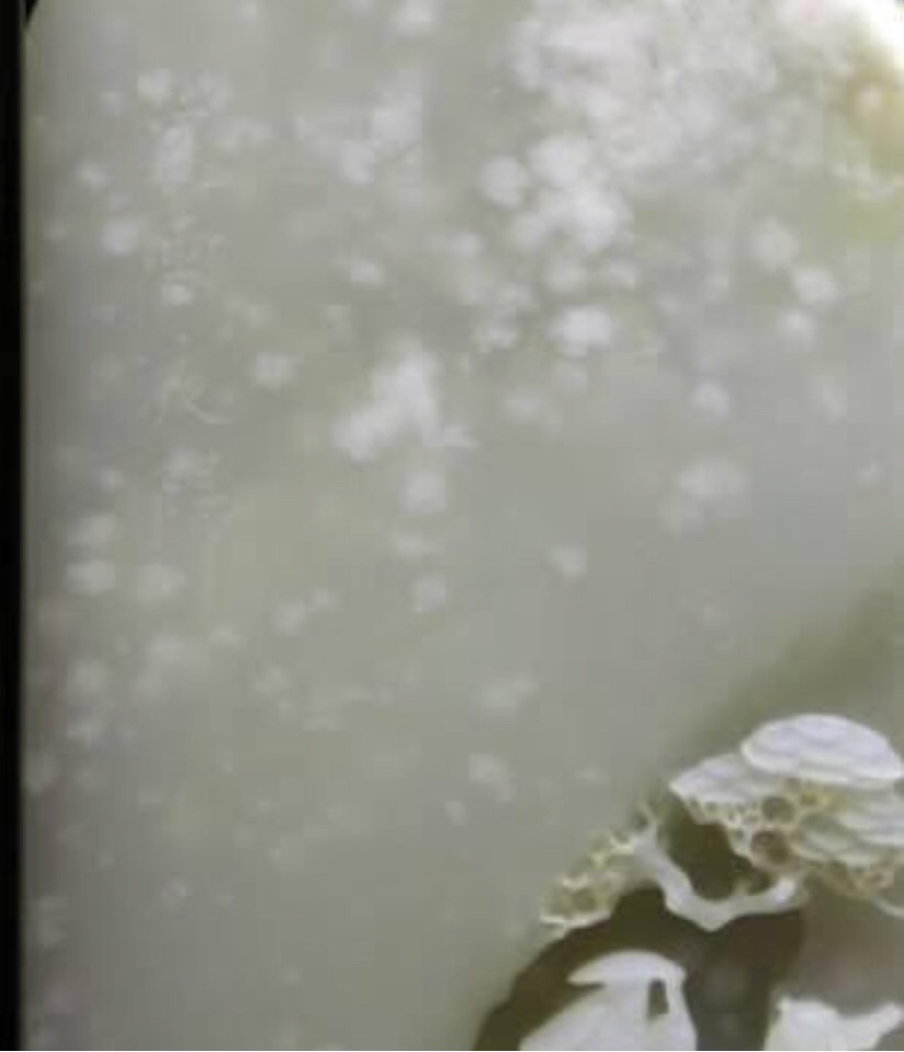 如何鉴别和田玉籽料的好坏,灰色和田玉籽料好坏鉴别方法