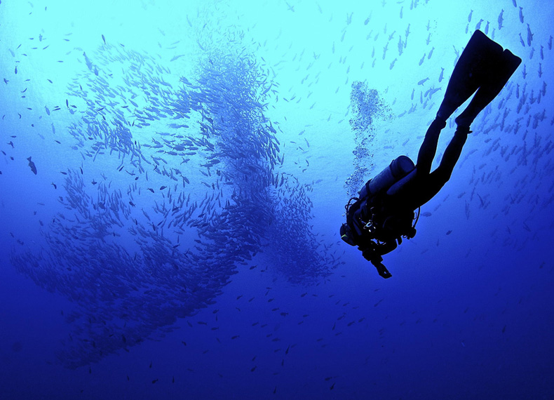 帕劳旅游景点推荐图片大全,帕劳旅游景点推荐