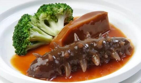 带您了解世界海参,你知道全球有多少种鲨鱼吗