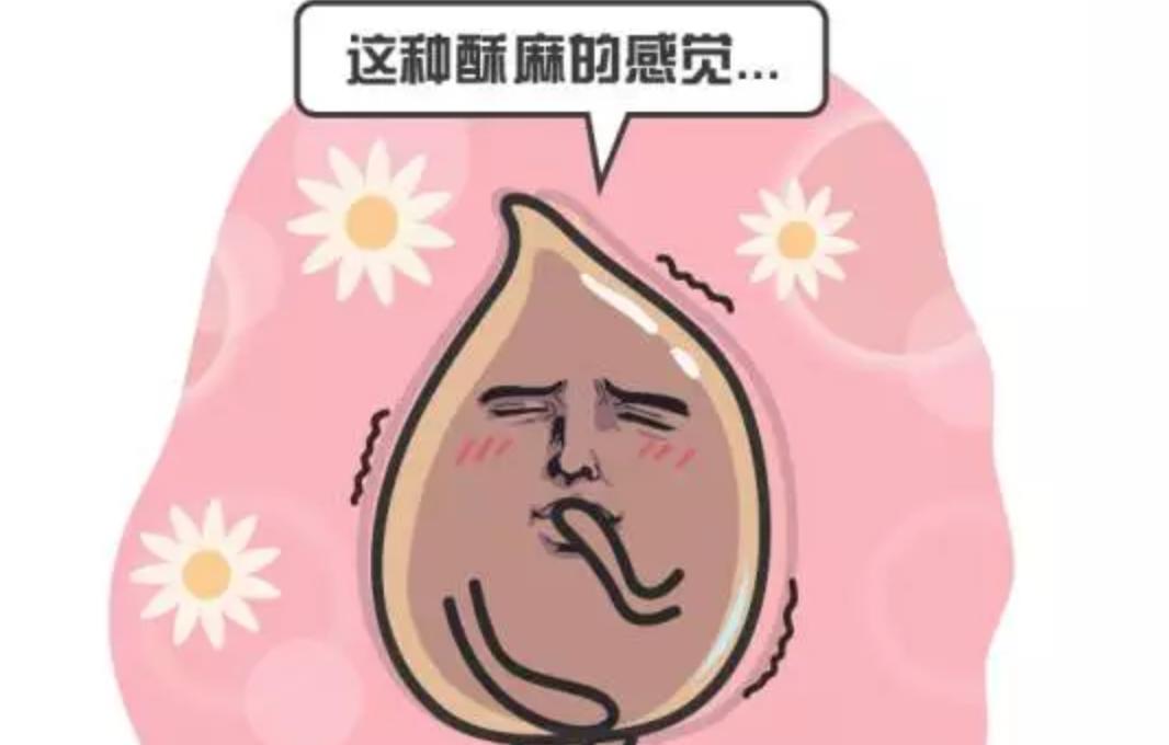 国产汽车改造,国产大型汽车改造