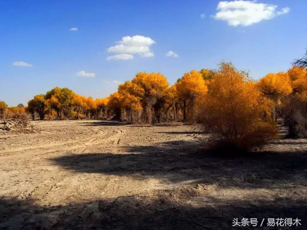 凉州词王之涣台词,王之涣凉州词简介